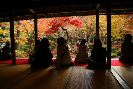 ☆額縁の紅葉風景、京都！_c0168984_11552794.jpg