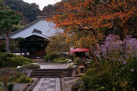 ☆秋時雨の中の紅葉、鎌倉／海蔵寺！_c0168984_15150230.jpg