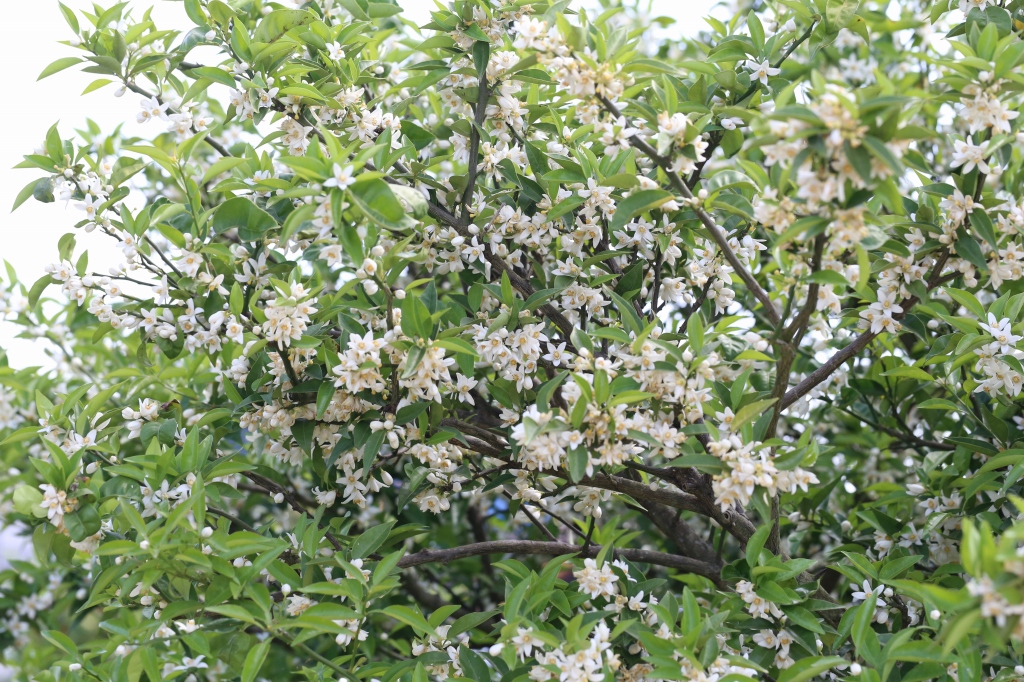 f0140087_10544462.jpg