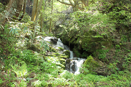 e0108592_2038061.jpg