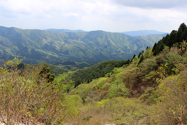 e0108592_2129151.jpg