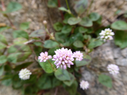 b0321595_23313230.jpg