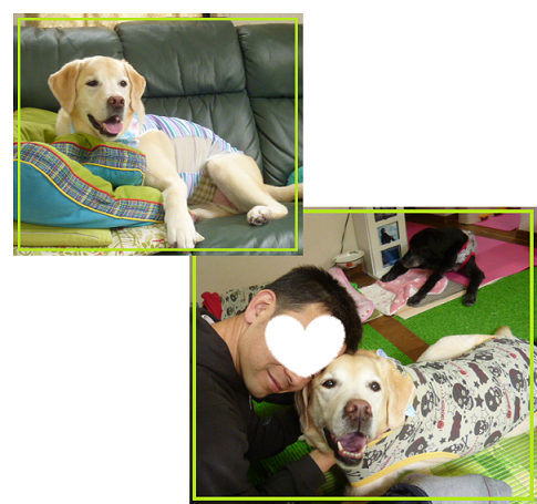 d0282395_216416.png