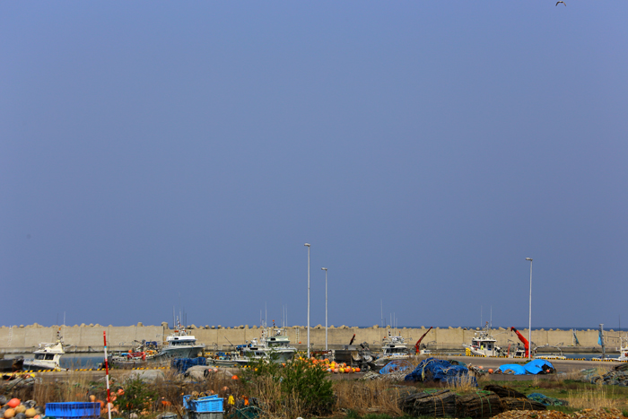 f0001895_1651330.jpg