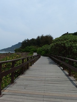 d0074596_027496.jpg