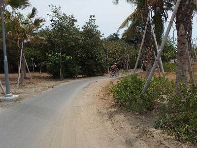d0074596_0394687.jpg