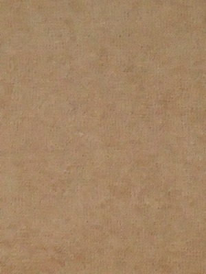 d0176398_2182074.jpg