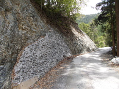 f0308898_17862.jpg