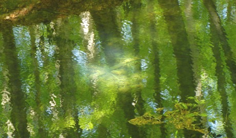 a0236300_11202915.jpg
