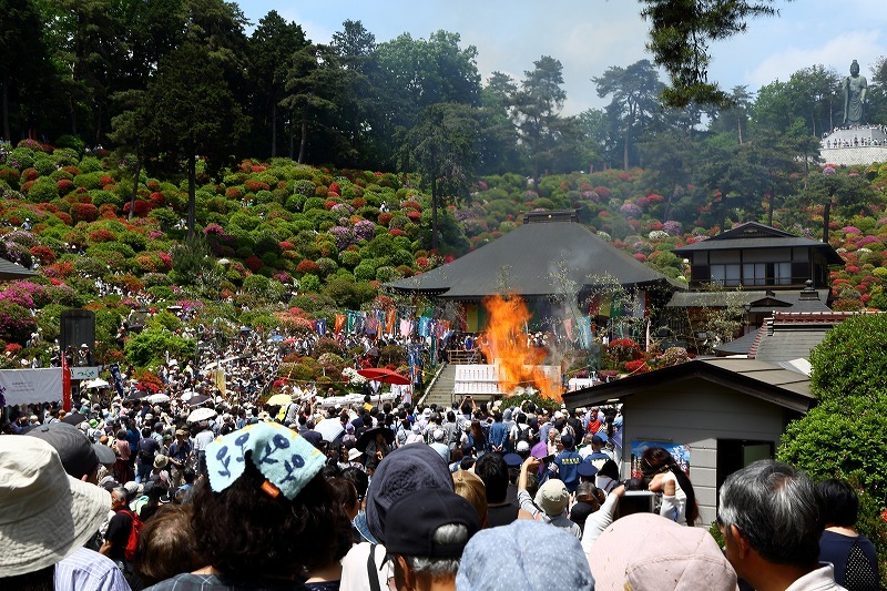 花と歴史の寺 塩船観音寺のつつじまつりと 火渡り荒行修行 旅プラスの日記