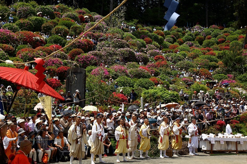 花と歴史の寺 塩船観音寺のつつじまつりと 火渡り荒行修行 旅プラスの日記