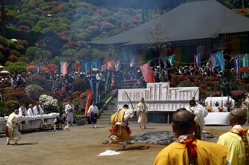 花と歴史の寺 塩船観音寺のつつじまつりと 火渡り荒行修行 旅プラスの日記