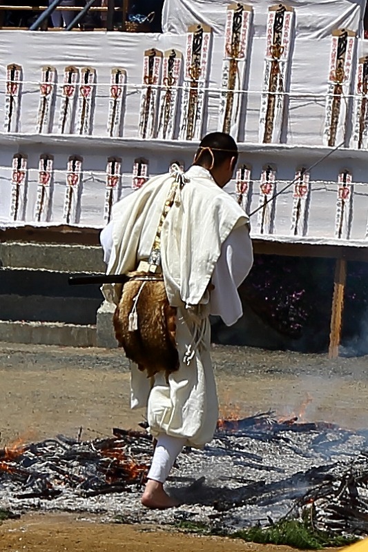 花と歴史の寺 塩船観音寺のつつじまつりと 火渡り荒行修行 旅プラスの日記