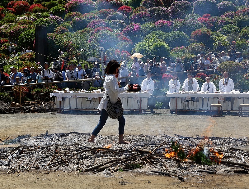 花と歴史の寺 塩船観音寺のつつじまつりと 火渡り荒行修行 旅プラスの日記