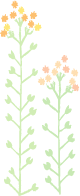 a0123003_83587.gif
