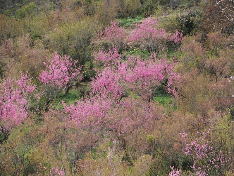 e0039703_21322033.jpg