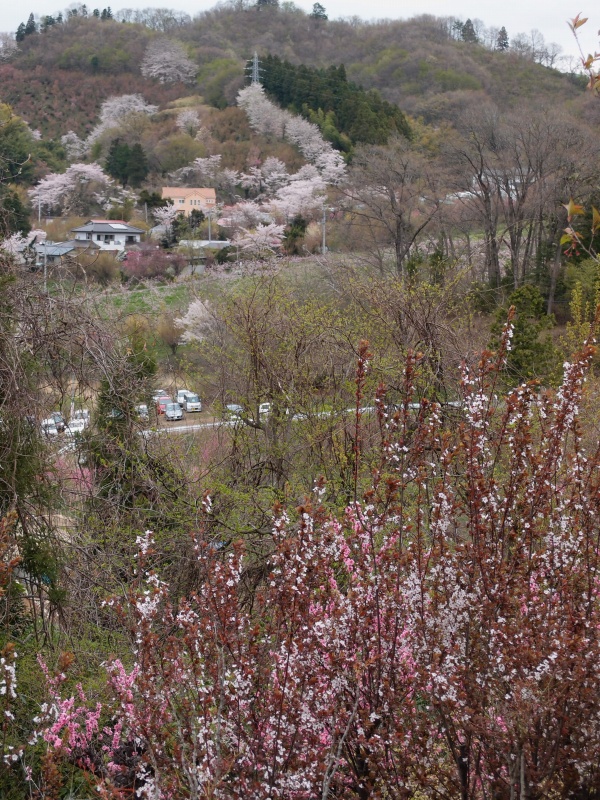 e0039703_226271.jpg