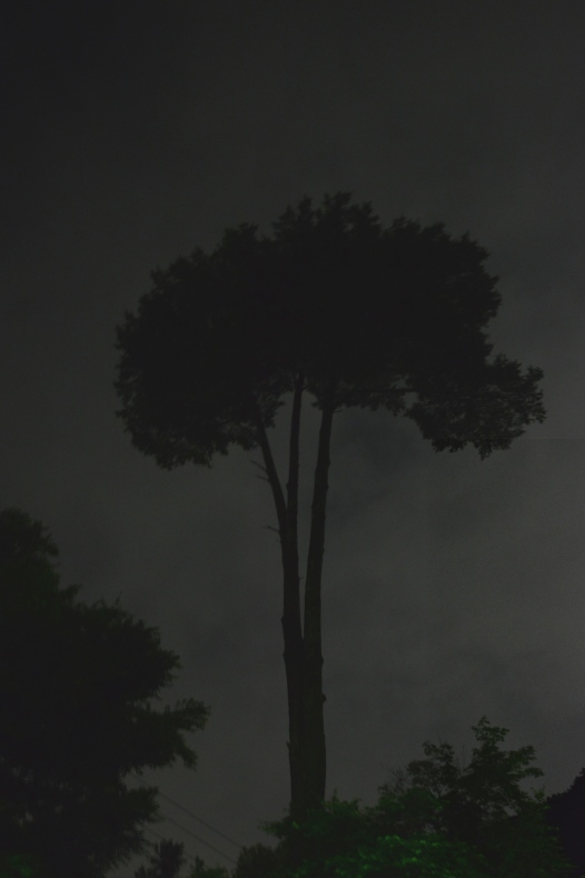 f0349904_18144151.jpg