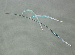 a0158805_1505255.jpg
