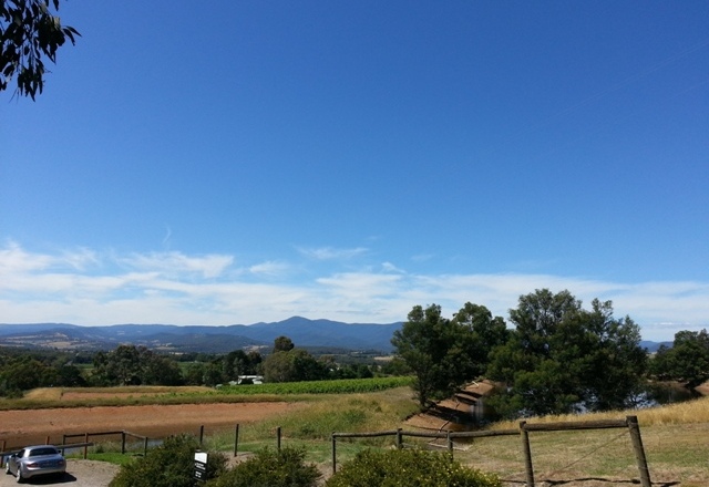 久々のYarra Valley♪_e0217905_1481139.jpg