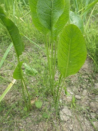 c0280206_64409.jpg