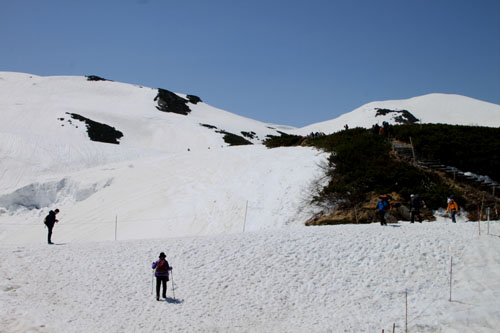 立山黒部アルペンルート2_e0048413_22532012.jpg