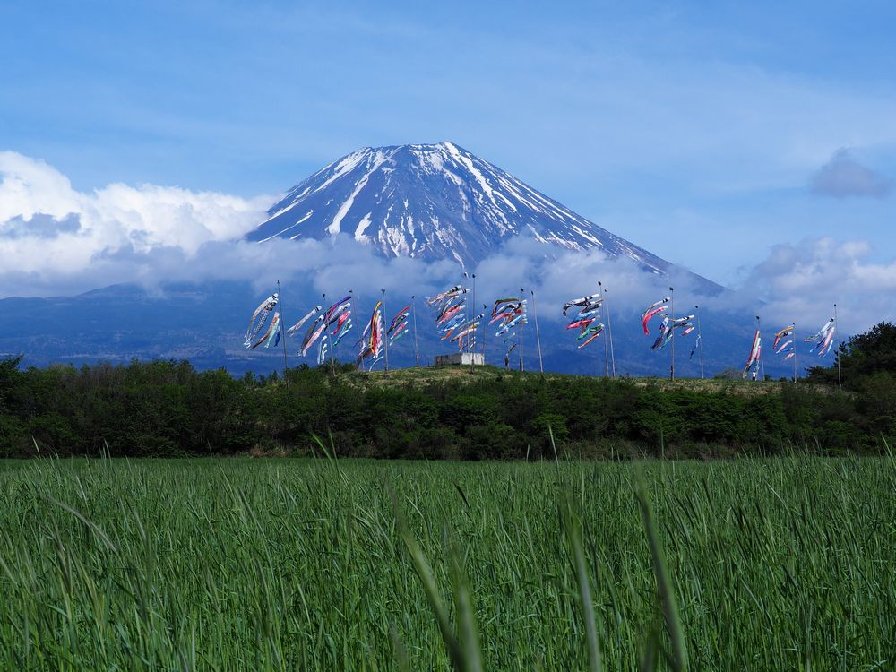 ＊富士山を背にこいのぼりと春の花々_b0204819_18173388.jpg