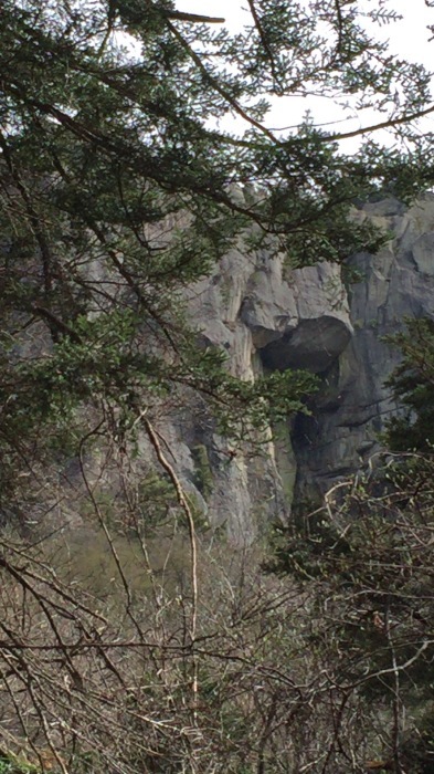 b0037220_00080285.jpg