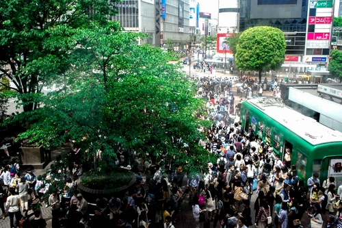 e0200121_22351944.jpg