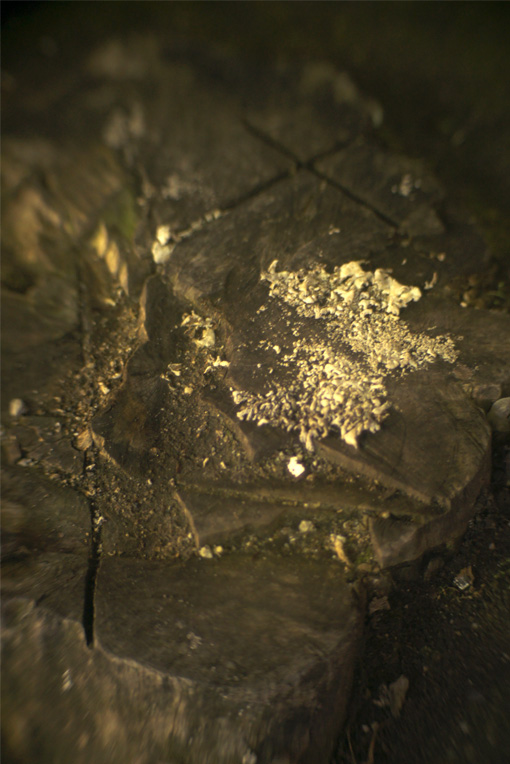 b0226423_23816.jpg