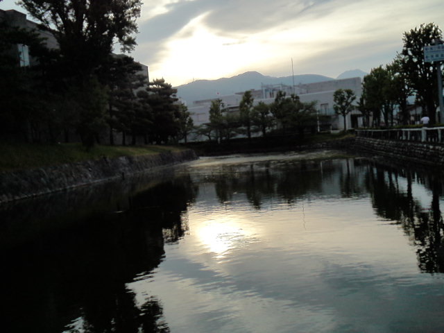 d0008724_11331700.jpg