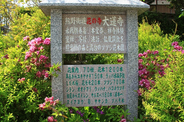 花の寺 大蓮寺 散策_e0321325_11412539.jpg