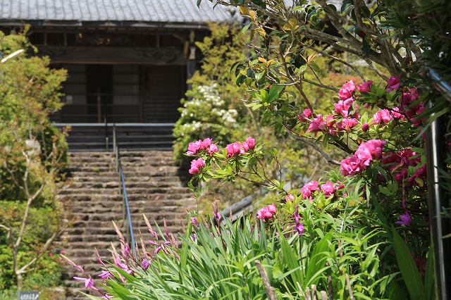 花の寺 大蓮寺 散策_e0321325_11452276.jpg