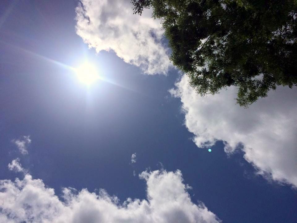 いいお天気♪_a0231828_10515451.jpg