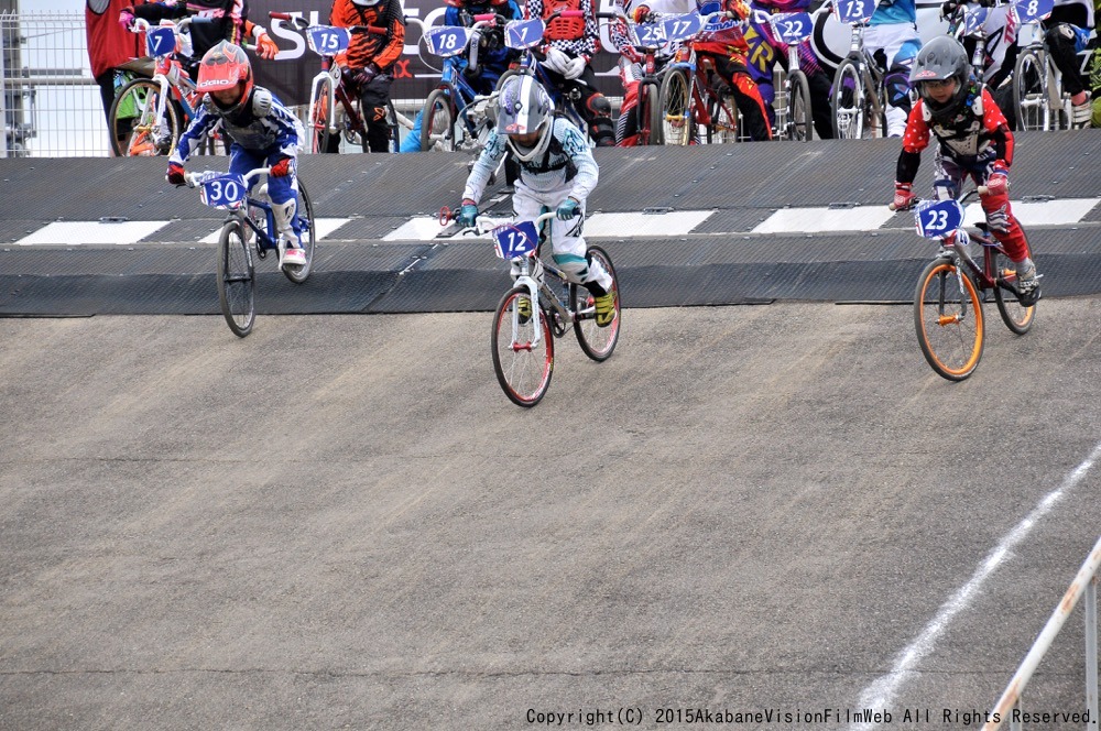 ２０１５JBMXFシリーズ第１戦岸和田大会vol5：ガールズ５−８/９−１０決勝　動画あり_b0065730_18224476.jpg