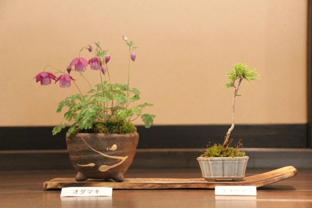 【昭和記念公園】part 3_f0348831_21454656.jpg