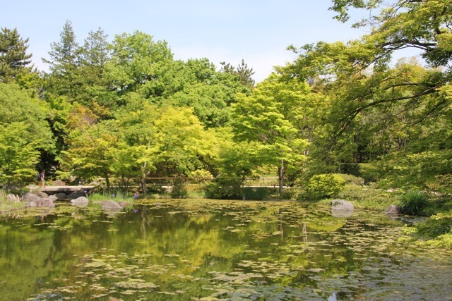 【昭和記念公園】part 3_f0348831_21565893.jpg
