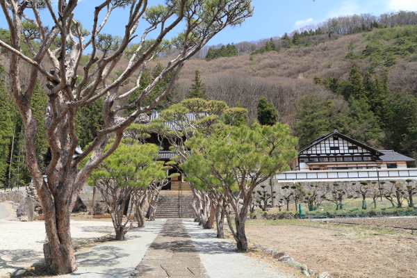 春爛漫・桜便り（佐久市・蕃松院）_f0229832_951067.jpg