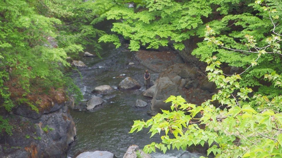 新規開拓N川釣行 その1_c0149633_20281833.jpg