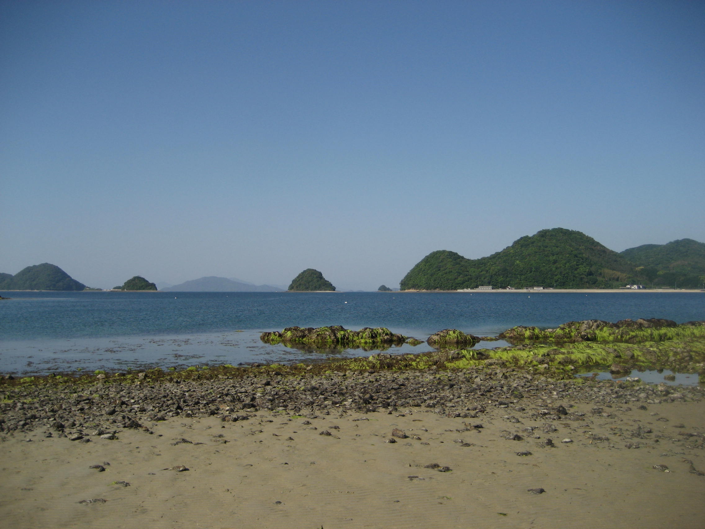 b0166435_2042466.jpg