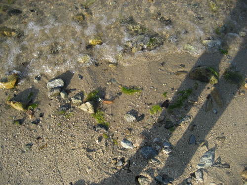 b0166435_20512044.jpg
