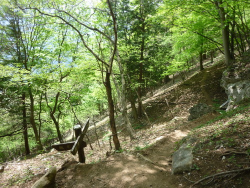 b0298935_00052740.jpg