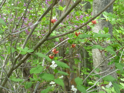 b0298935_00070158.jpg