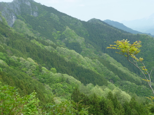 b0298935_00075960.jpg