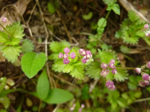 b0298935_00081560.jpg