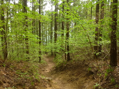 b0298935_22263178.jpg