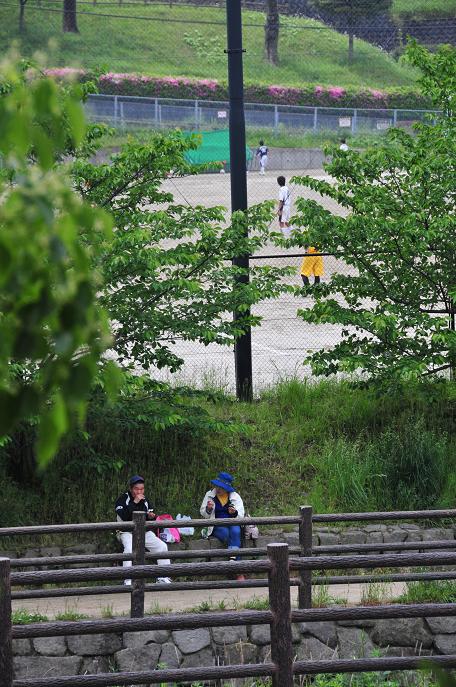 晴れたり、雨が降ったり＾＾_c0142535_2083422.jpg