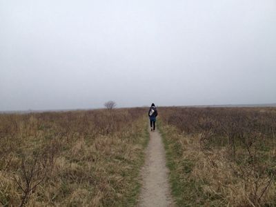 b0260738_15262650.jpg