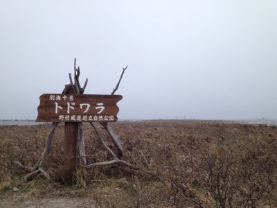 b0260738_15262790.jpg