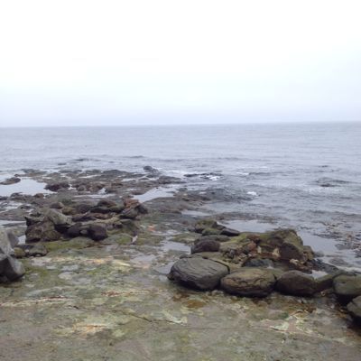 b0260738_152636100.jpg